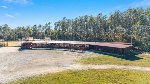 Tiny photo for 14181 SE 211th Ct, Umatilla, FL 32784 (MLS # OM713859)