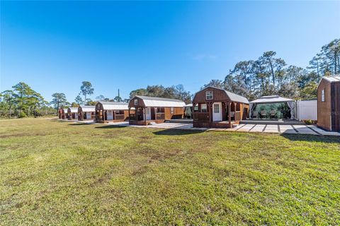 Tiny photo for 14181 SE 211th Ct, Umatilla, FL 32784 (MLS # OM713859)