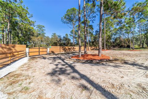 Tiny photo for 14181 SE 211th Ct, Umatilla, FL 32784 (MLS # OM713859)