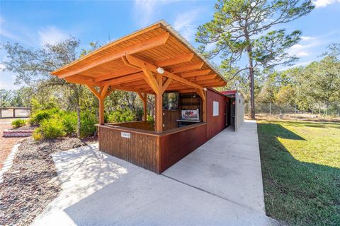 Tiny photo for 14181 SE 211th Ct, Umatilla, FL 32784 (MLS # OM713859)