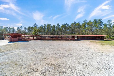 Tiny photo for 14181 SE 211th Ct, Umatilla, FL 32784 (MLS # OM713859)