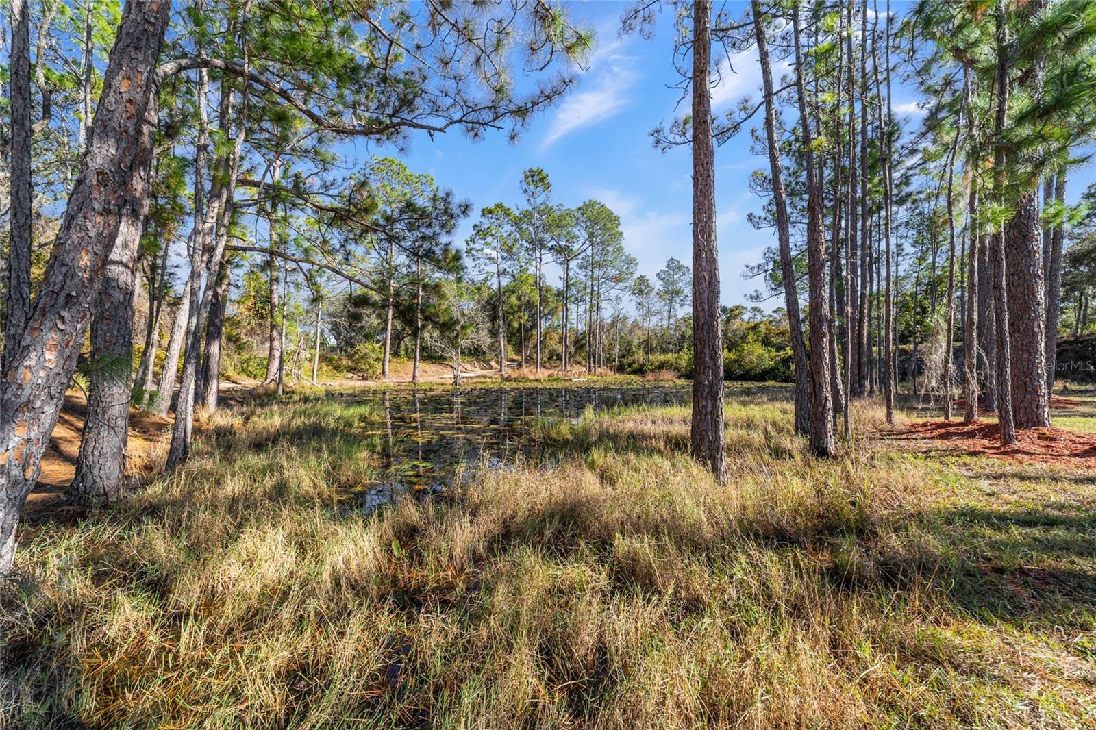 FOREST LAKES CAMPSITES - Residential