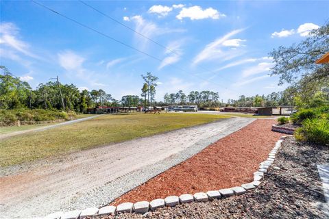 Tiny photo for 14181 SE 211th Ct, Umatilla, FL 32784 (MLS # OM713859)