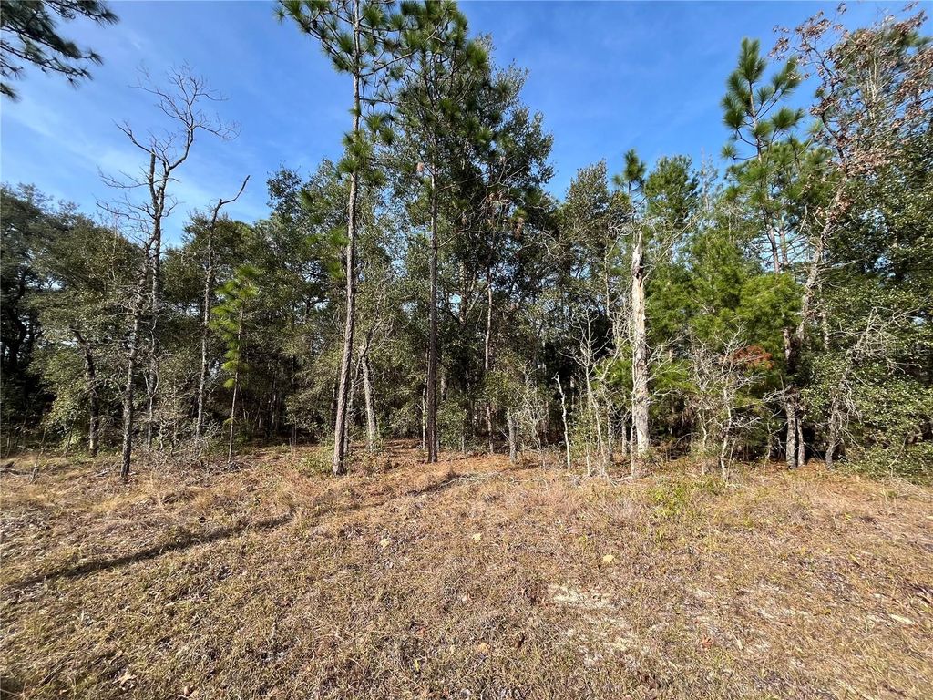 Photo of 6168 Emory Avenue, Keystone Heights, FL 32656 (MLS # K4903464)