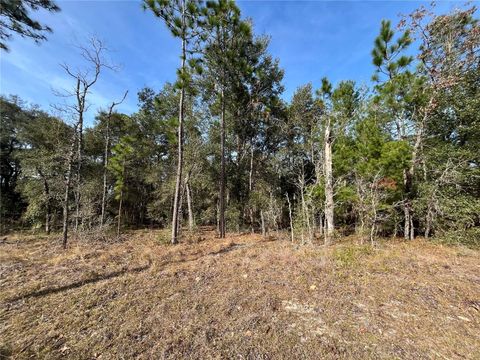 6168 EMORY AVENUE KEYSTONE HEIGHTS FL 32656