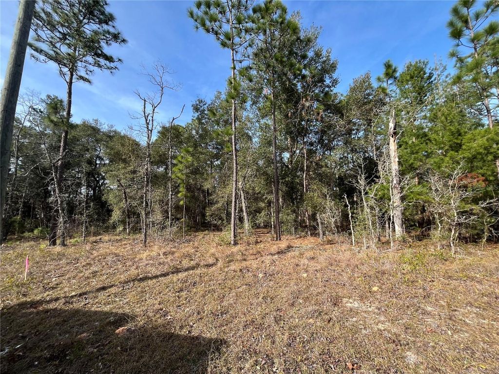 Photo of 6168 Emory Avenue, Keystone Heights, FL 32656 (MLS # K4903464)