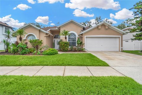 Photo of 9806 Sunnyoak Drive, Riverview, FL 33569 (MLS # TB8423841)