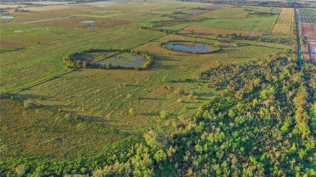 Photo of Myakka City, FL 34251 (MLS # A4682417)