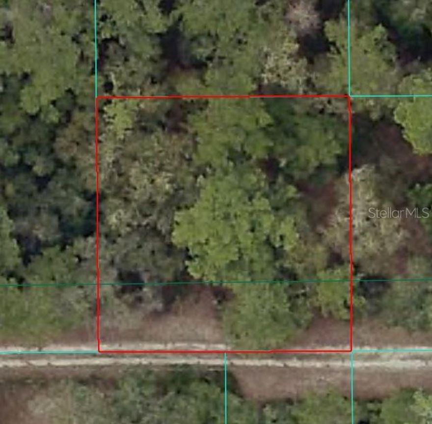 This vacant lot offers a peaceful setting surrounded by Florida’s natural beauty, perfect for a future homesite, weekend retreat, or long-term investment. Located in a quiet, rural area with convenient access to local lakes, springs, and outdoor recreation, the property provides the flexibility to build at your own pace. The lot next door is also available, giving you the option to expand your space, increase privacy, or secure additional land for future plans. Lot will need a well and septic tank. A member/manager of the owning LLC is a licensed real estate agent.