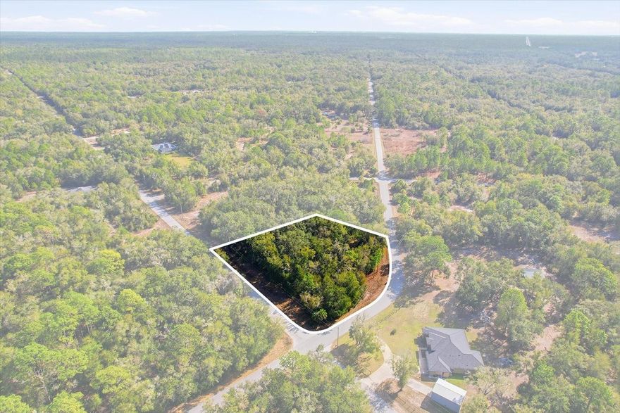 Take a look at this beautiful corner lot home site in Crystal River. This parcel offers 1.36 acres of peace and serenity and is ready to build your new dream home. Just 6 miles to the Gulf of America for any of your salt water activities. Enjoy warm sunny Florida all year long!