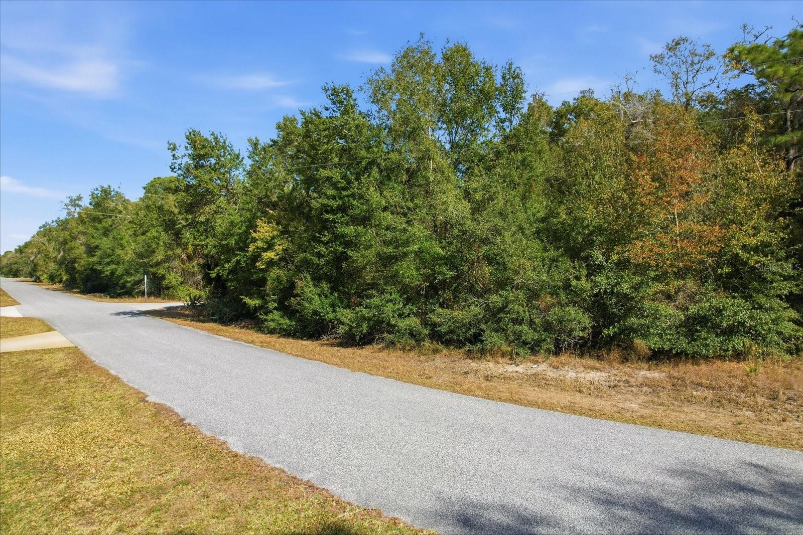 CRYSTAL MANOR UNIT 03 - Land