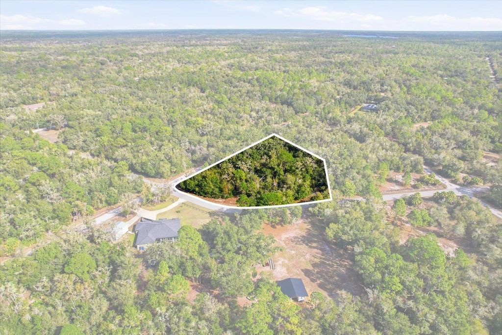 Photo of 9659 N Cacalia Drive, Crystal River, FL 34428 (MLS # TB8463188)