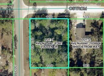 Photo of 8092 Allen Drive, Weeki Wachee, FL 34613 (MLS # W7887722)
