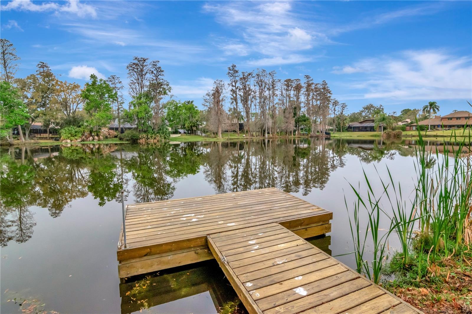 PRESERVE AT CARROLLWOOD VILLAG - Residential
