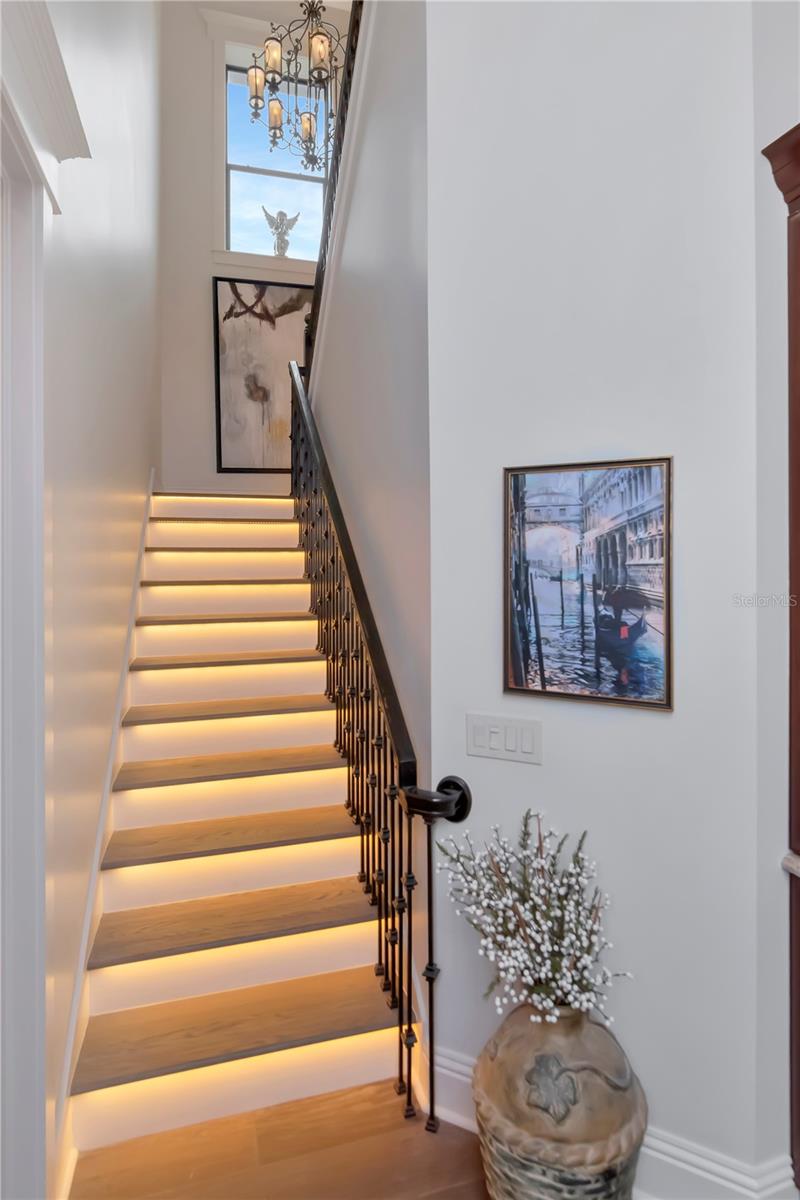 PRESERVE AT CARROLLWOOD VILLAG - Residential