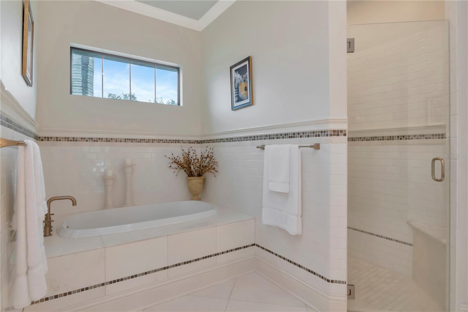 PRESERVE AT CARROLLWOOD VILLAG - Residential