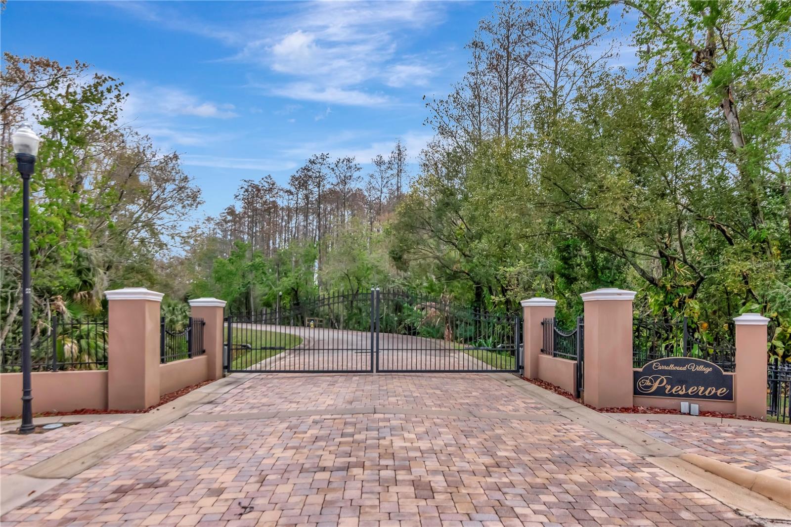 PRESERVE AT CARROLLWOOD VILLAG - Residential