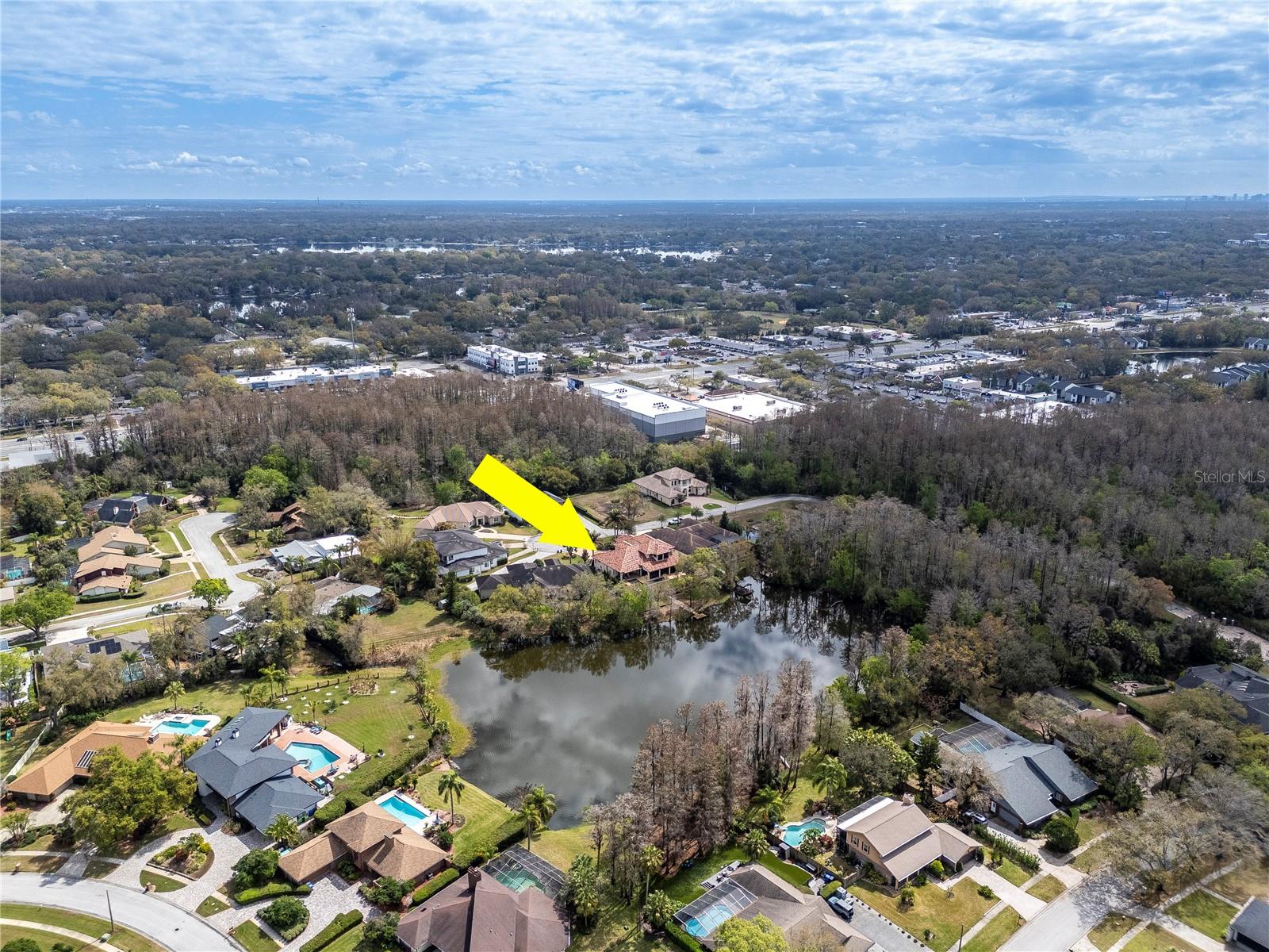 PRESERVE AT CARROLLWOOD VILLAG - Residential