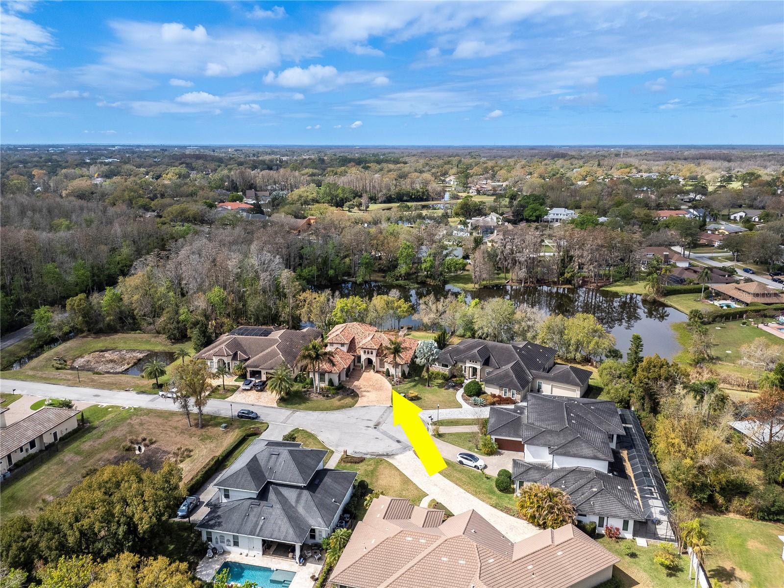 PRESERVE AT CARROLLWOOD VILLAG - Residential