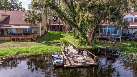 A home in TAMPA