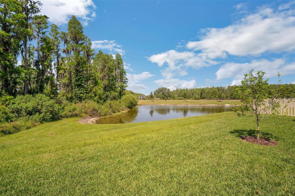 Photo of 10945 Sundrift Drive, Tampa, FL 33647 (MLS # TB8384933)
