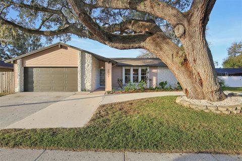 A home in BRANDON