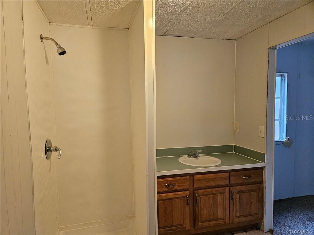 Photo of 89 S Scarboro Avenue, Lecanto, FL 34461 (MLS # TB8492039)