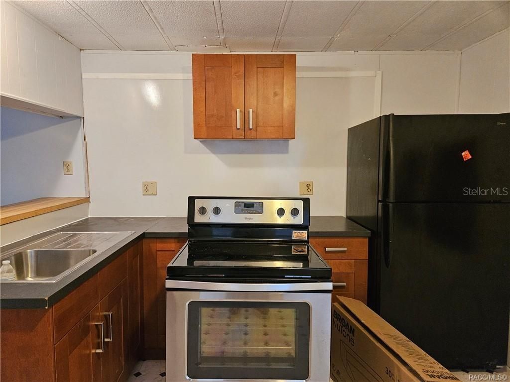 Photo of 89 S Scarboro Avenue, Lecanto, FL 34461 (MLS # TB8492039)