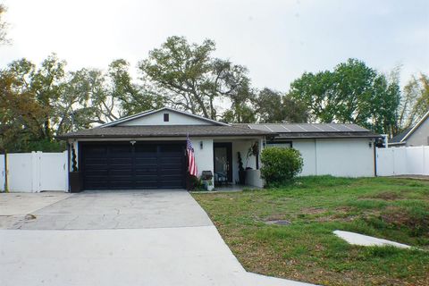 Photo of 6816 E Creek Drive, Tampa, FL 33615 (MLS # TB8484962)