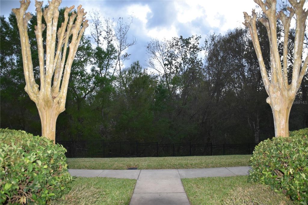 Photo of 316 Southern Pecan Circle #205, Winter Garden, FL 34787 (MLS # O6375513)