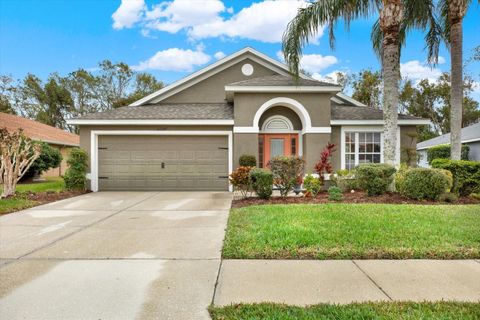 A home in LAND O LAKES