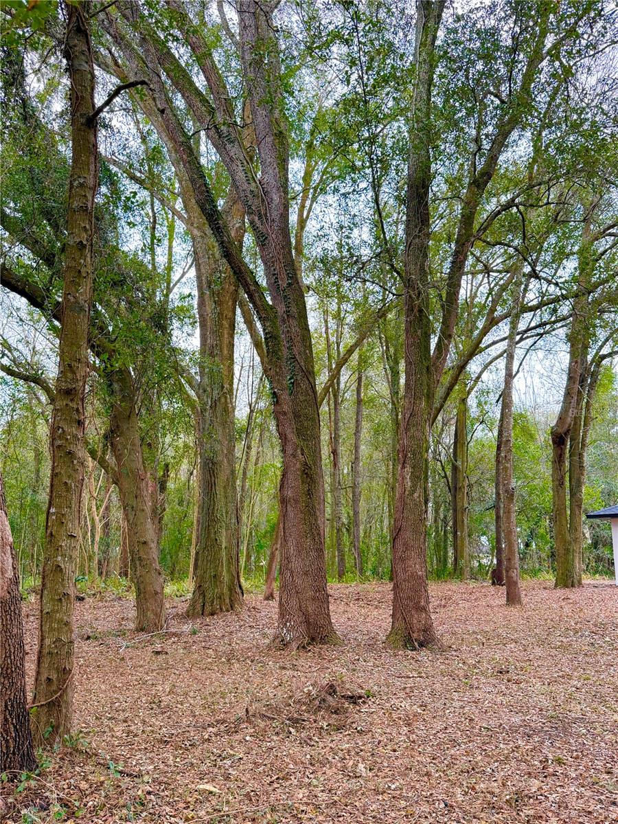 43 PINE TRACE COURSE