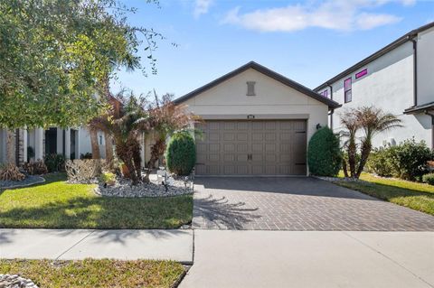 Photo of 4563 San Martino Drive, Wesley Chapel, FL 33543 (MLS # TB8478047)