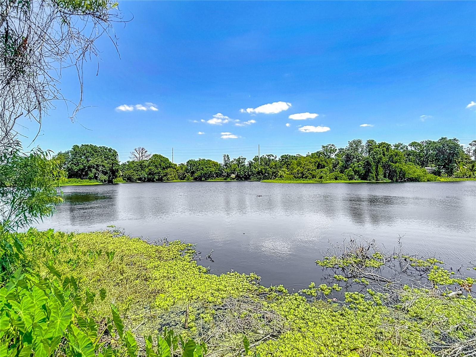 BLOOMINGDALE SEC C UNIT 1 - Residential