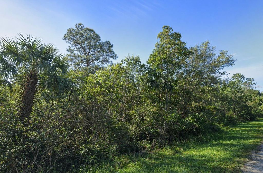 Photo of 0 Sabel Palm Street, Cocoa, FL 32926 (MLS # TB8488592)