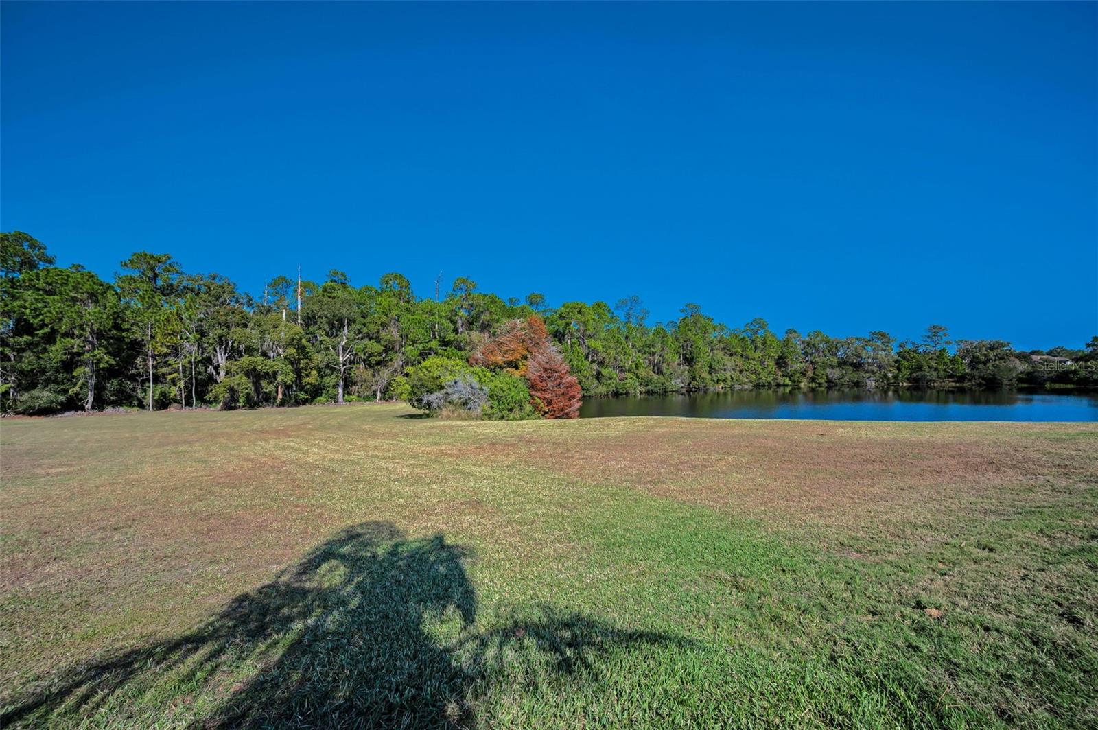 LONGLEAF NEIGHBORHOOD - Residential