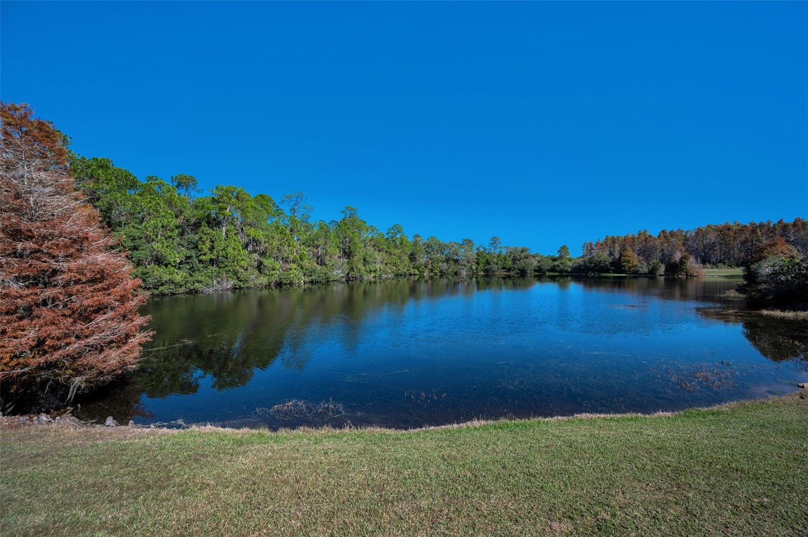 LONGLEAF NEIGHBORHOOD - Residential