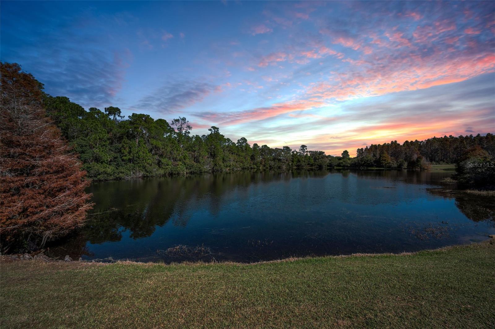 LONGLEAF NEIGHBORHOOD - Residential