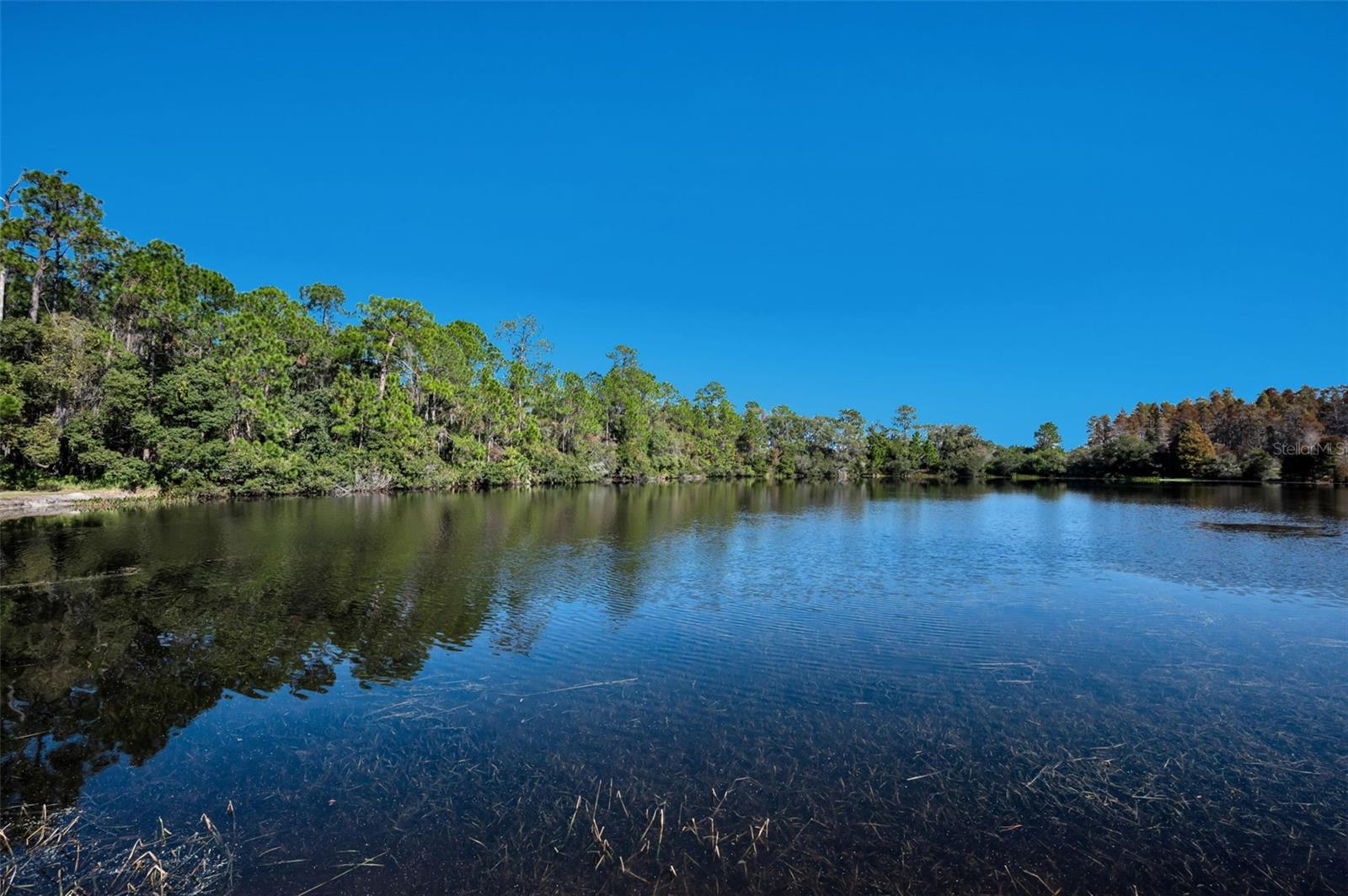 LONGLEAF NEIGHBORHOOD - Residential