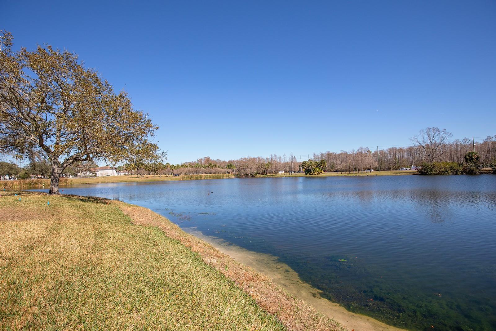 CAPRI/HUNTERS CRK CONDO - Residential