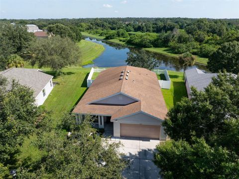 A home in RIVERVIEW