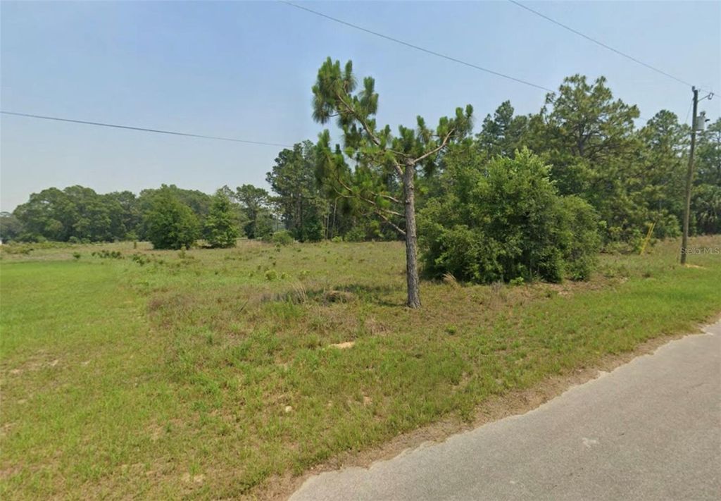Photo of 5 SE Malauka Run, Ocklawaha, FL 32179 (MLS # OM714591)