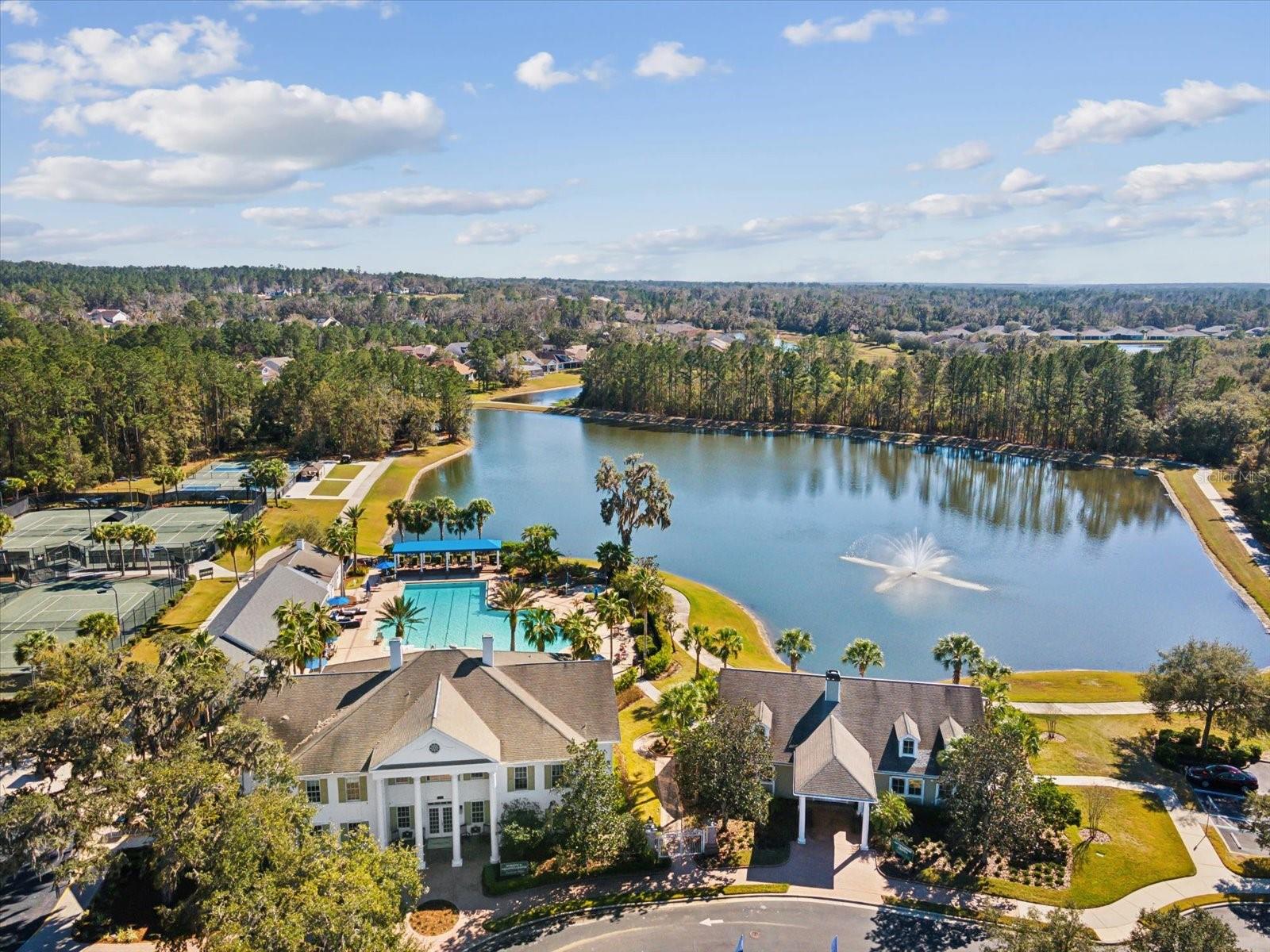 19504 LILY POND COURT