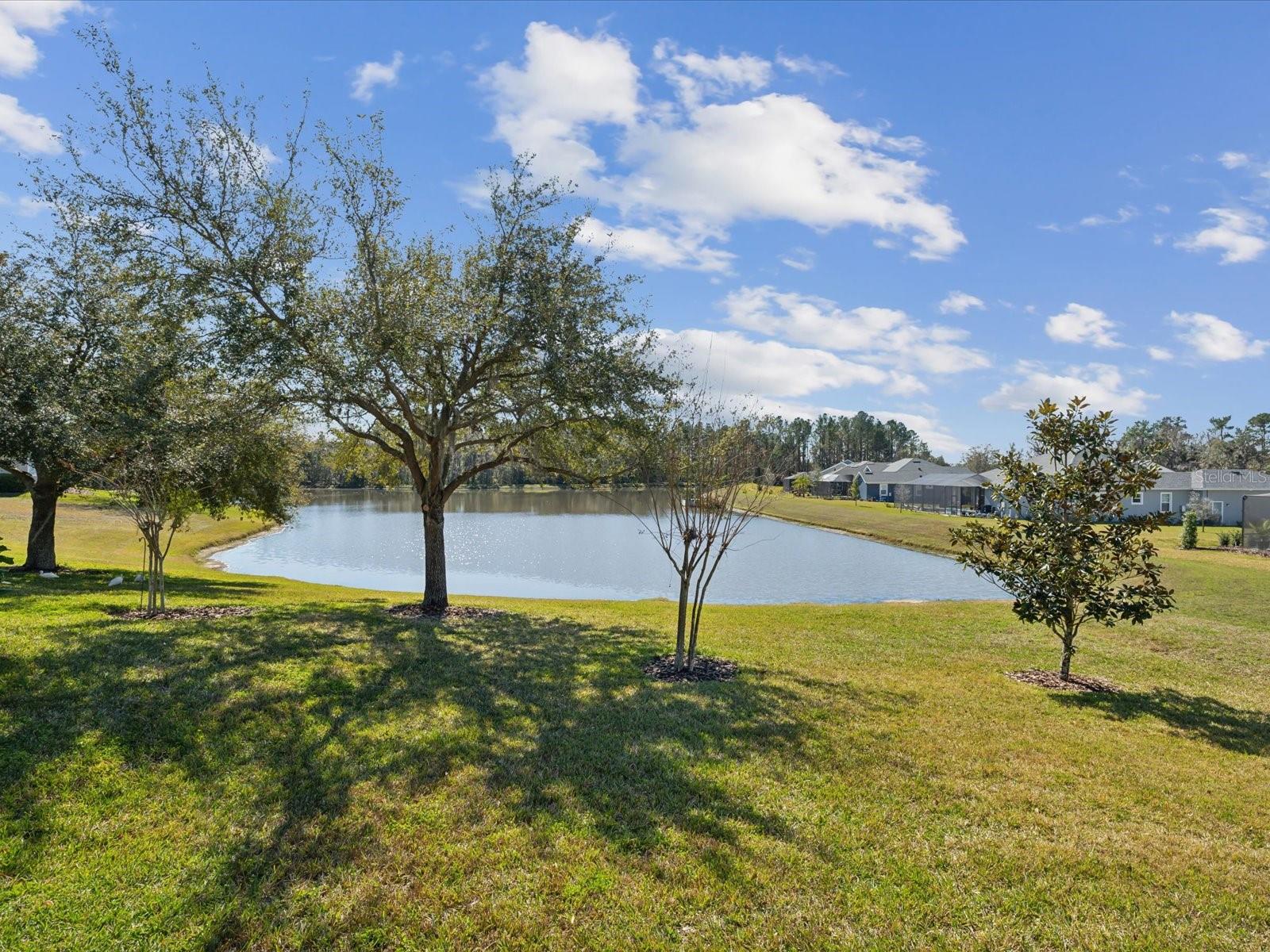 19504 LILY POND COURT