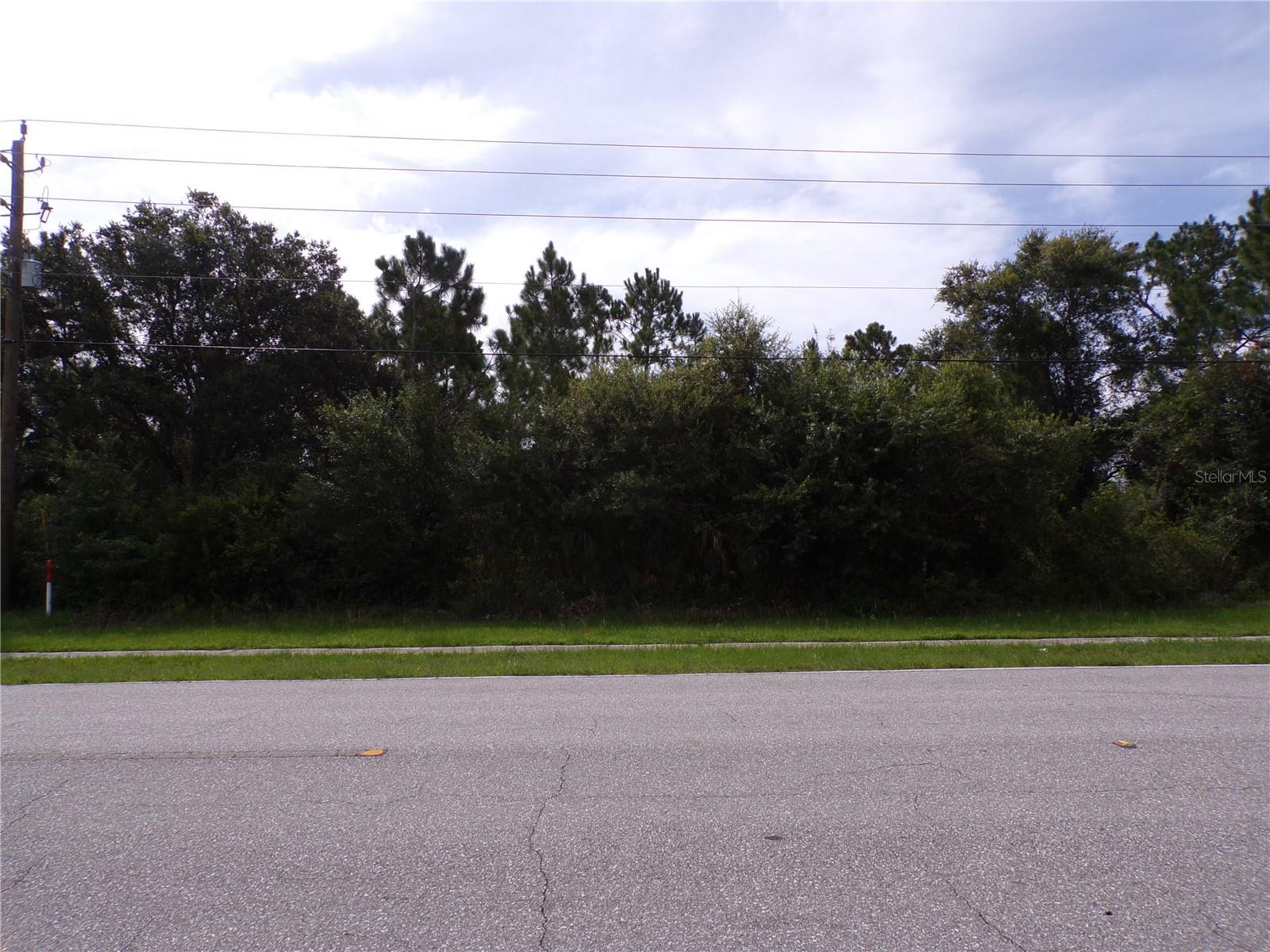 This lot is on a quiet street, that would be a great place to build your dream home and retire or raise your family. Less than 5 miles to I75 makes this location an easy commute to almost anywhere, and only 17 miles to Venice Pier and Beach with amazing sunsets, 5 miles to Cocoplum Village Shops with lots of shopping and dining options. Atlanta Braves spring training and the fairgrounds are just minutes away, also multiple golf courses and some of the best boating and fishing in all of Florida. Red Soxs, Orioles, Twins and Rays spring training all within an hour’s drive. Buyer and buyers’ reps are responsible for determining environmental conditions and endangered species restrictions. This lot is priced to sell so please call for availability! This lot is at a great price point for the investor call today.