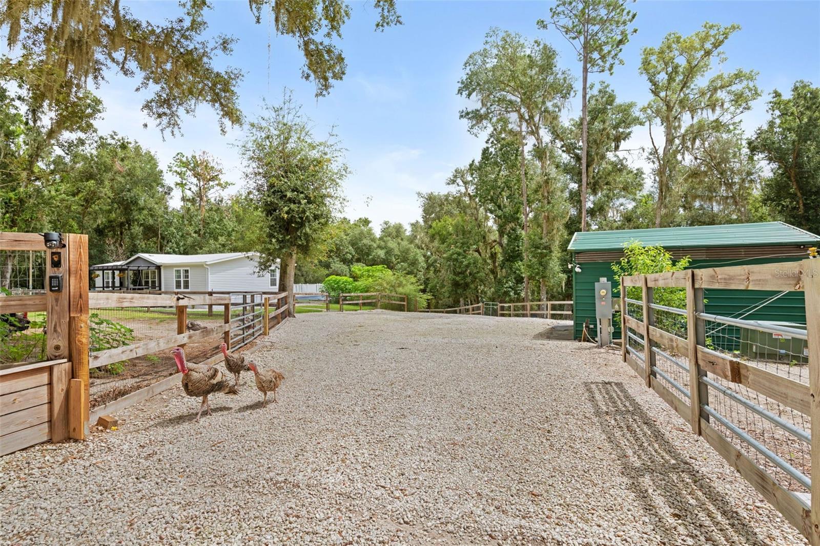 1164 KATIE WOOD TRAIL