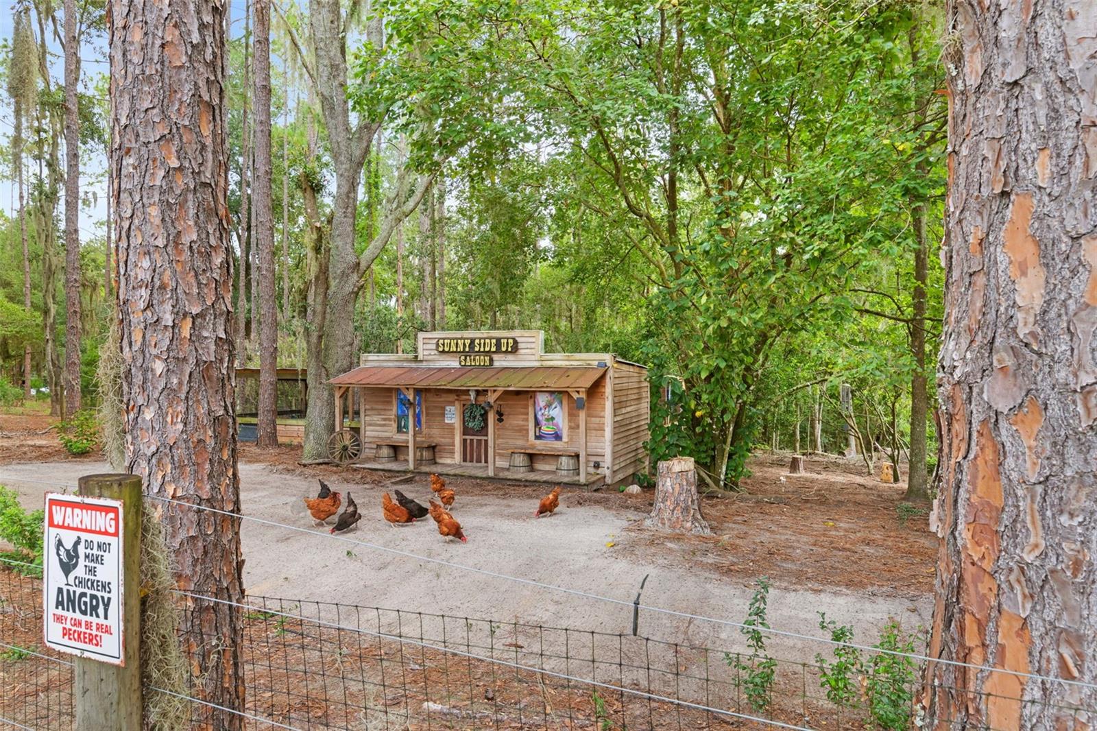 1164 KATIE WOOD TRAIL