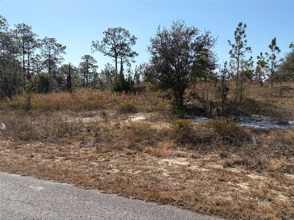 Photo of 00000 SW Nautilus Boulevard, Dunnellon, FL 34431 (MLS # OM719039)