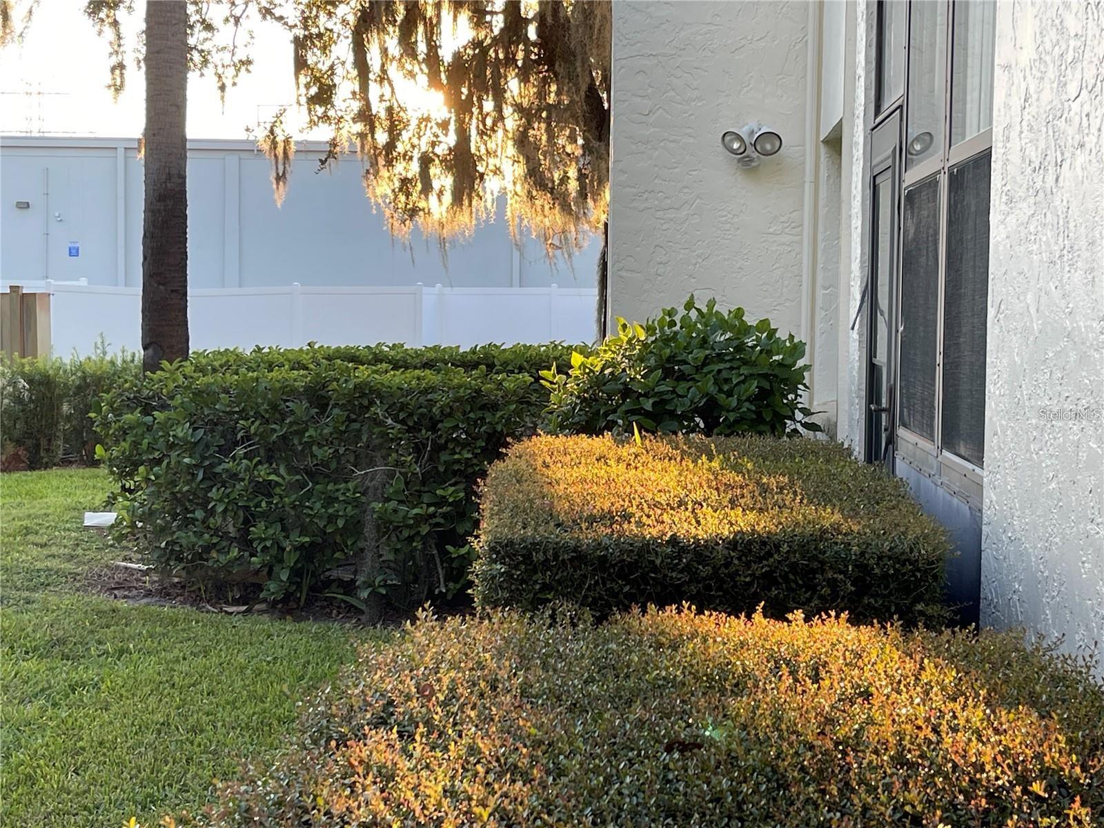 EAST LAKE WOODLANDS CYPRESS ESTATES - Residential Lease