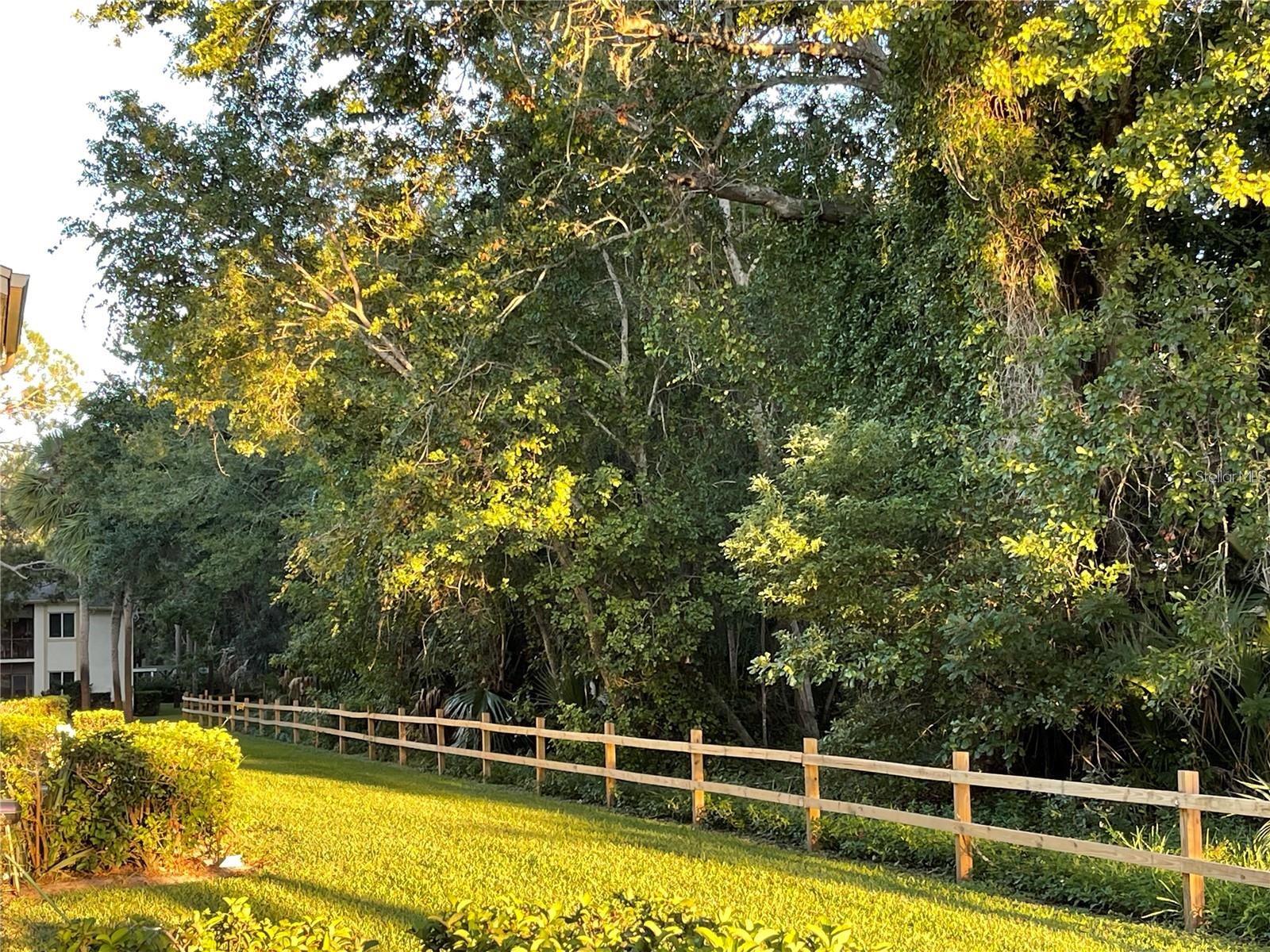 EAST LAKE WOODLANDS CYPRESS ESTATES - Residential Lease